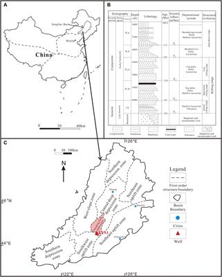 Determination of Favorable Lithofacies for Continental Shale Gas: A Case Study of the Shahezi Formation, Changling Fault Depression, Songliao Basin